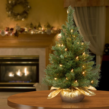 2 ft. Pre-Lit Majestic Fir Tree with Clear Lights, Gold Base