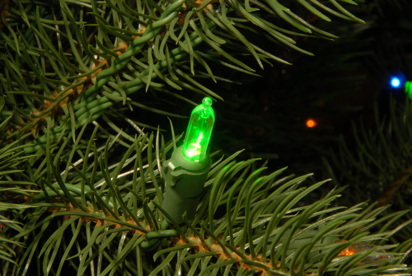 9 ft. Pre-Lit Downswept Douglas Fir Tree with Dual Color LED Lights