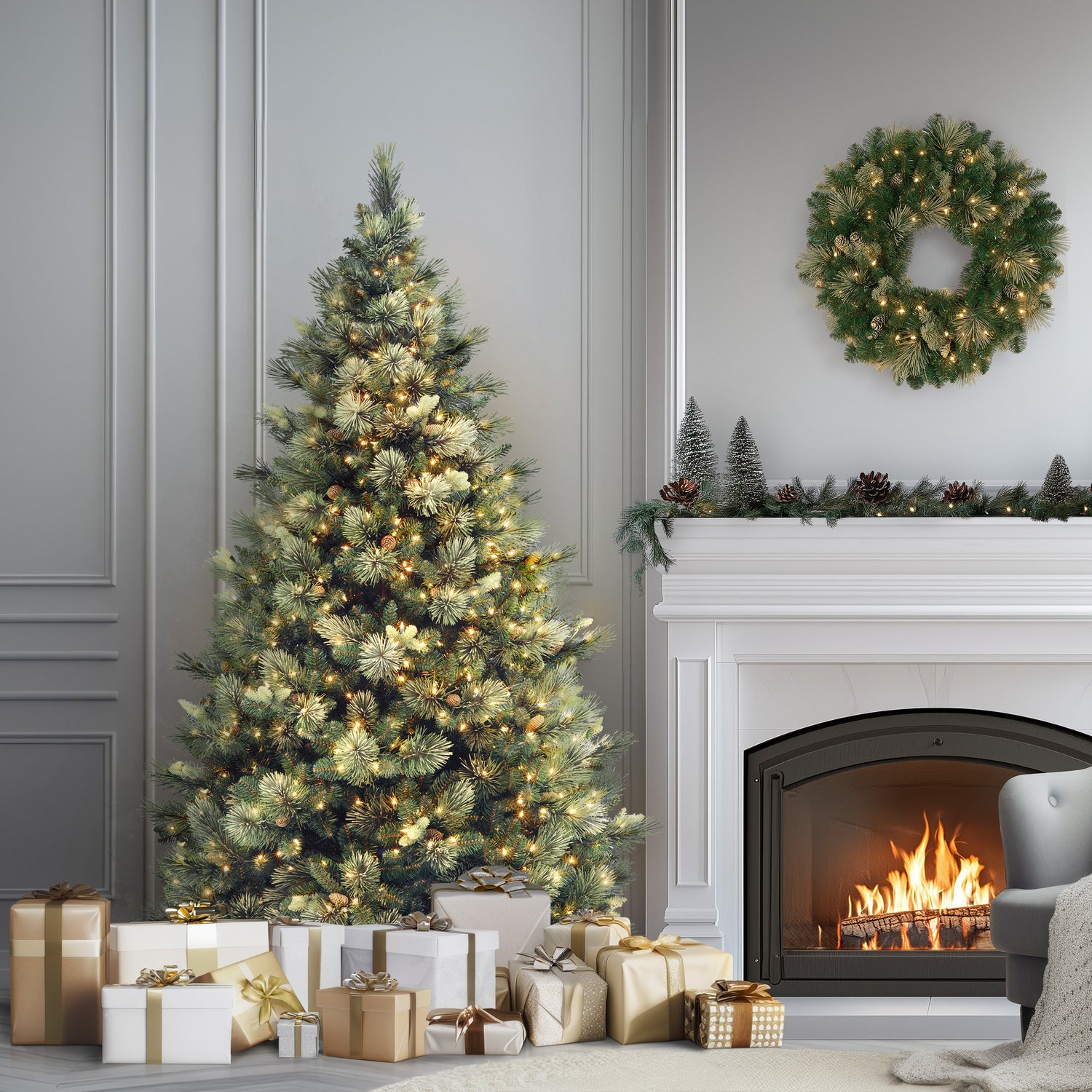 Carolina Pine Christmas Trees