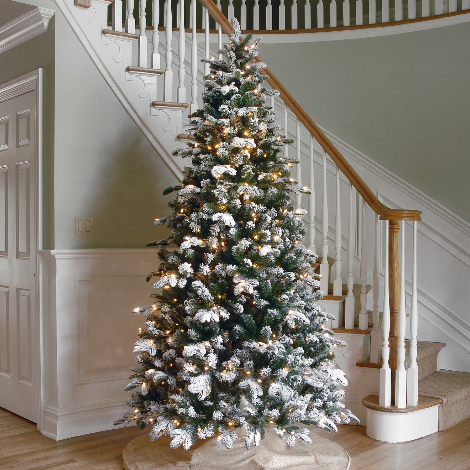Snowy Everest Fir Christmas Trees
