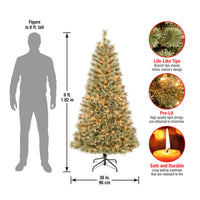 6 ft. Pre-Lit Arcadia Pine Cashmere with Clear Lights, Plug-In