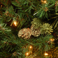 6.5 ft. Pre-Lit Carolina Pine Tree with Clear Lights