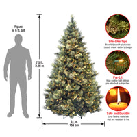 7.5 ft. Pre-Lit Carolina Pine Tree with 750 Clear Lights