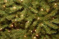12 ft. Pre-Lit Dunhill Fir Tree with PowerConnect Dual Color LED Lights