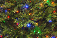 12 ft. Pre-Lit Dunhill Fir Tree with PowerConnect Dual Color LED Lights