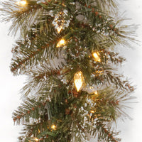 9 ft. Pre-Lit Glittery Bristle Pine Garland with Warm White LED Lights, Plug-In