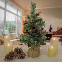 2 ft. Pre-Lit Glistening Pine Tree with Warm White LED Lights