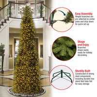 14 ft. Pre-Lit Kingswood Fir Pencil Tree with Clear Lights