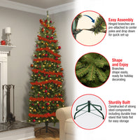 6.5 ft. Pre-Lit Kingswood Fir Pencil Tree with Clear Lights