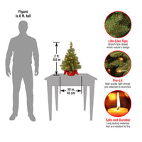 2 ft. Pre-Lit Majestic Fir Tree with Clear Lights, Burgandy Base