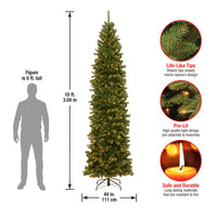 10 ft. Pre-Lit North Valley Spruce Pencil Slim Tree with Clear Lights