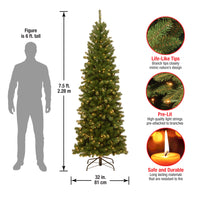 7.5 ft. Pre-Lit North Valley Spruce Pencil Slim Tree with Clear Lights