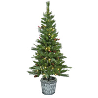 Pre-Lit Buzzard Pine Assortment Set of 1 Entrance Tree, 1 Wreath, 1 Garland, Plug-In