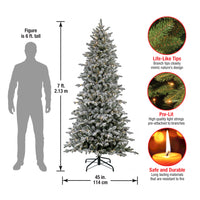 7 ft. Pre-Lit Snowy Calton Pine Tree with LED Lights, Plug-In
