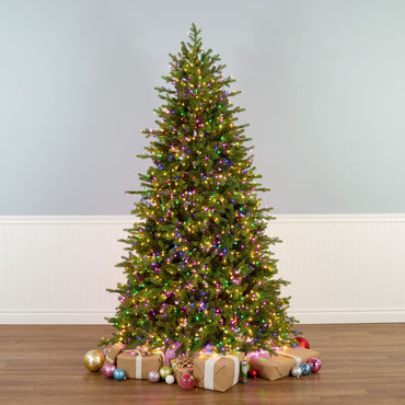 7.5 ft. Pre-Lit Princeton Fraser Fir Tree with LED Lights, Plug-In