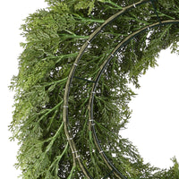 24 in. Arborvitae Wreath